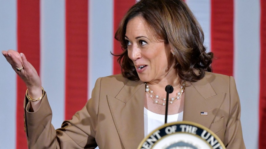 Harris leans into traditional VP attack dog role